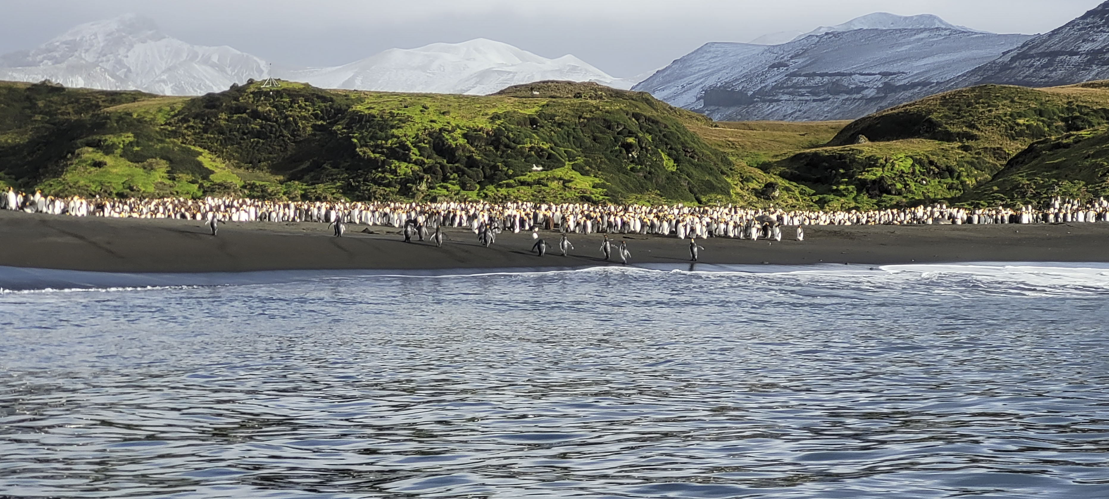 GYT 20220701 111531 20220701 111531